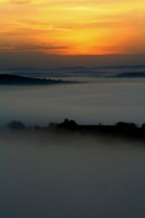 /album/fotos-afrika/mburo-small-jpg/
